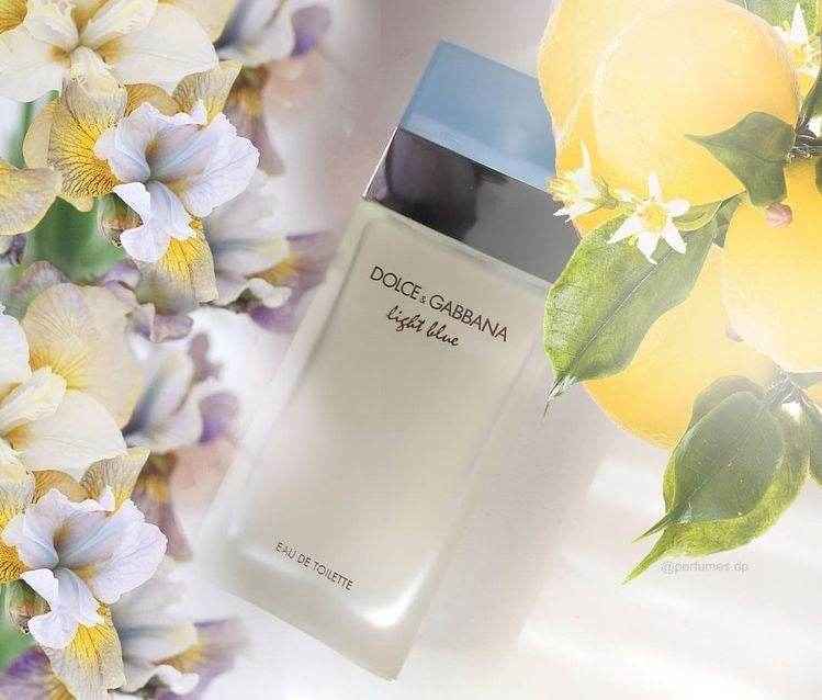 Dolce & Gabanna Light Blue 100ml - Douyin Shop