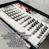 Wispy Manga Eye Lash (no need glue)