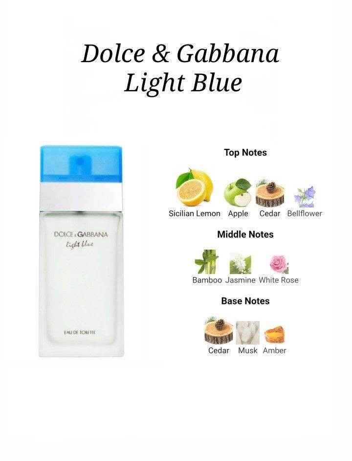 Dolce & Gabanna Light Blue 100ml - Douyin Shop