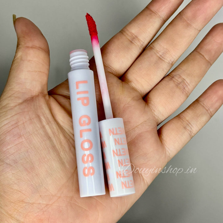 Wetn Lip Gloss - Douyin Shop
