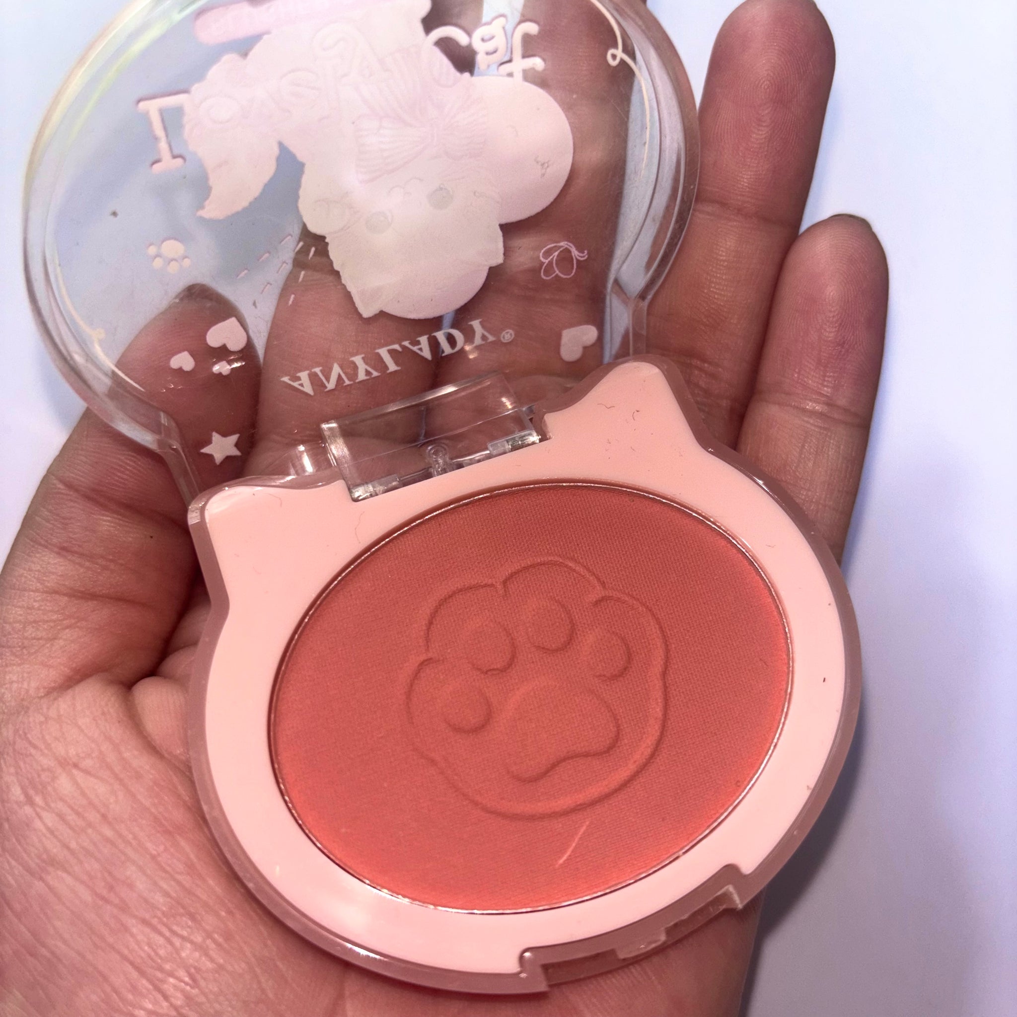 Anylady Blusher